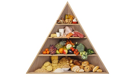 voedsel piramide